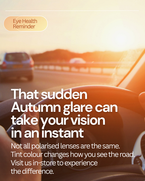 Driving in the Autumn Sun