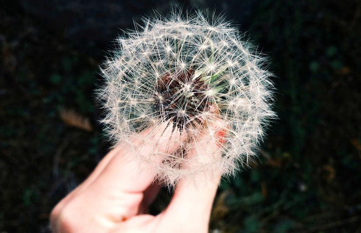 Hayfever Eyes