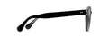 Maui Jim Joy Ride
