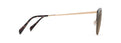 Maui Jim Olili
